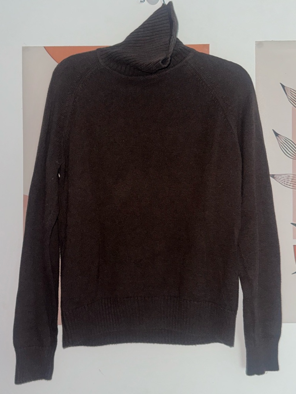 JEANNE PIERRE Women's Dark Brown Turtleneck Sweater